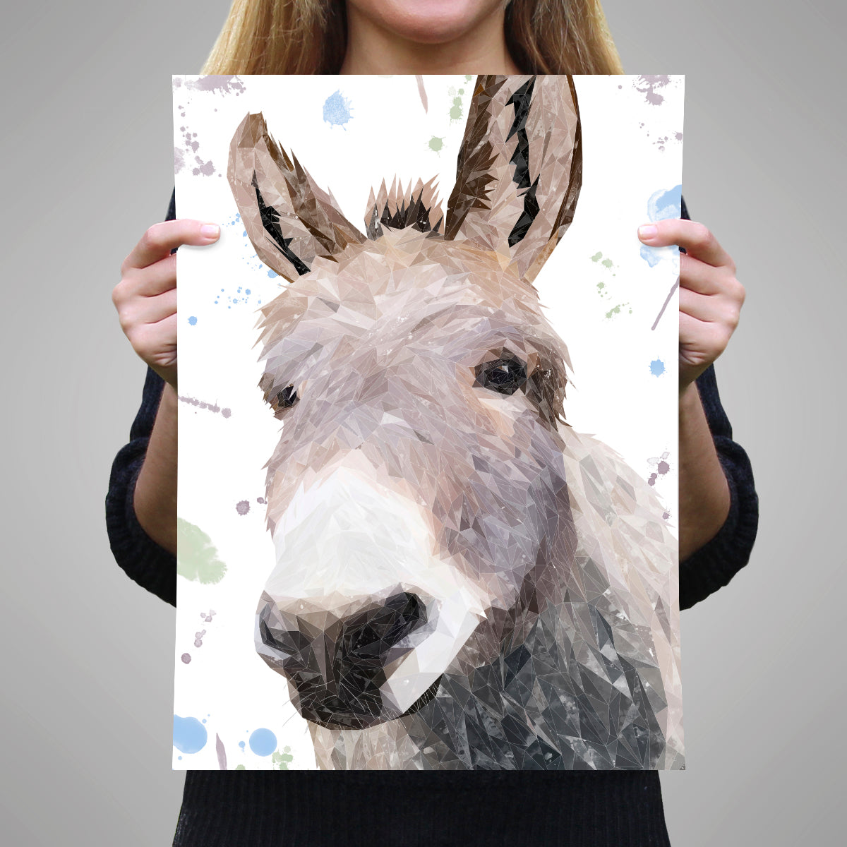 "Daphne" The Donkey A3 Unframed Art Print - Andy Thomas Artworks