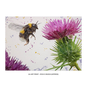 "Highland Honey" The Bee and The Thistle A4 Unframed Art Print - Andy Thomas Artworks