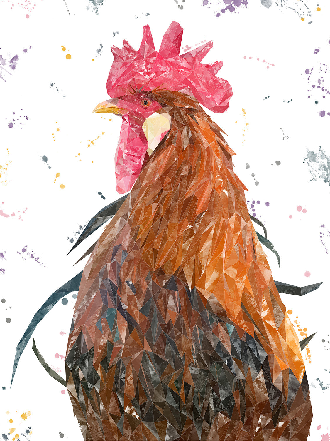 "Cooper" The Cockerel Canvas Print