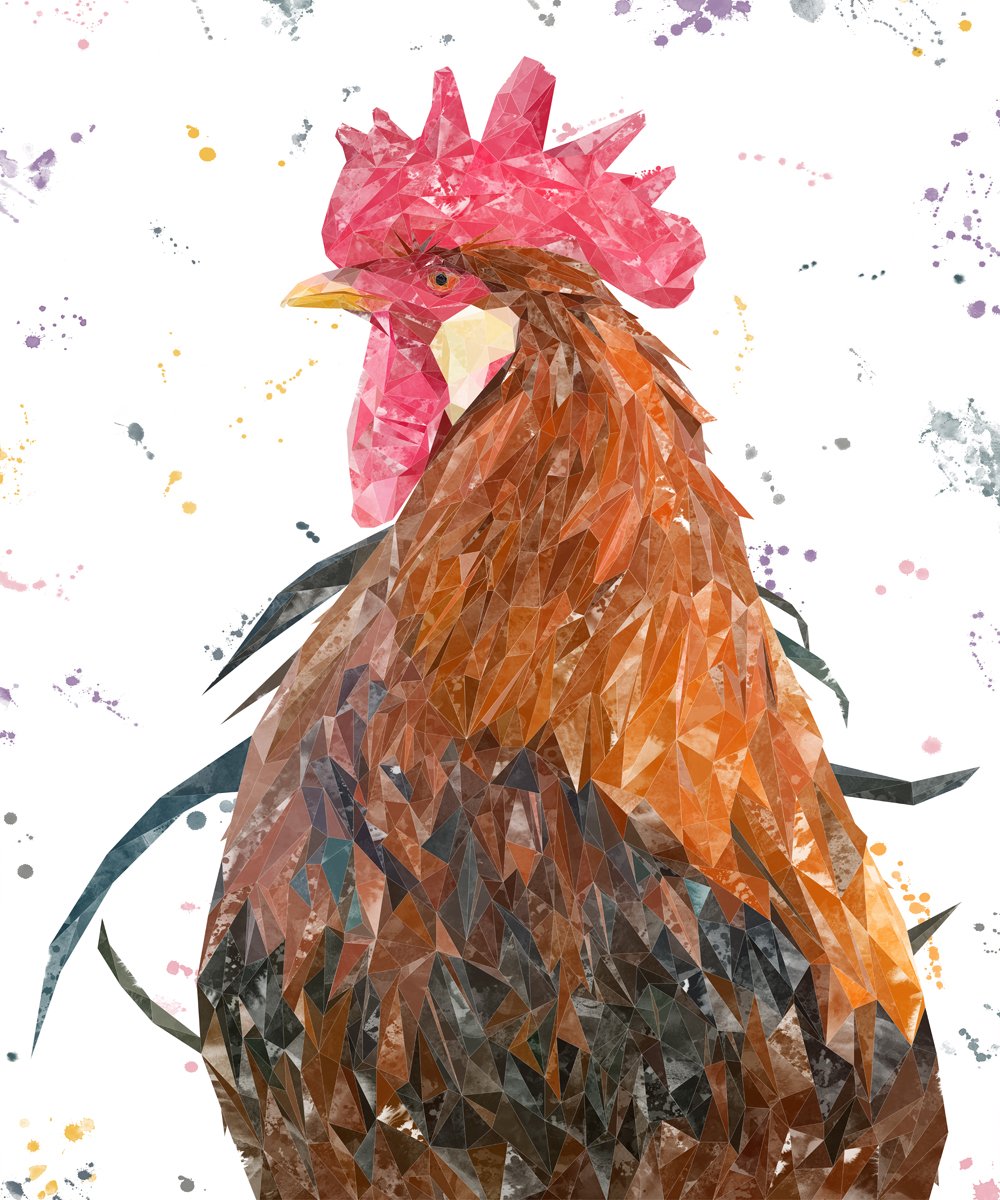 "Cooper" The Cockerel Kitchen Splashback