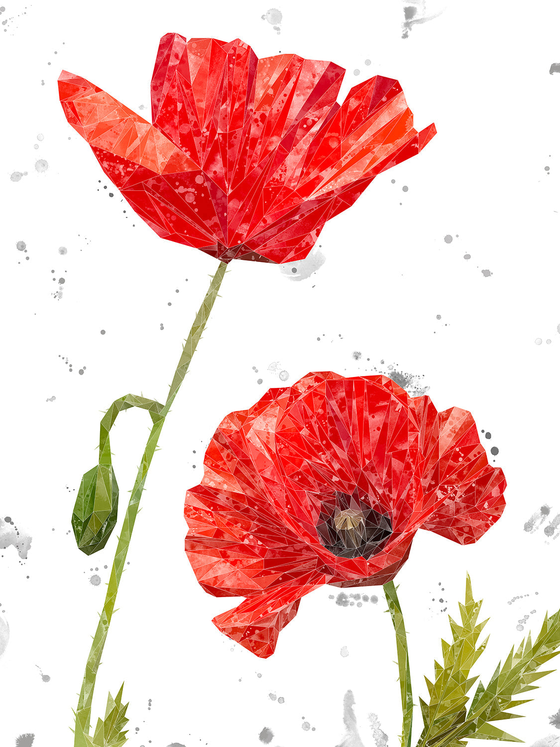 "Hope" Poppies Portrait (Grey Background) Canvas Print