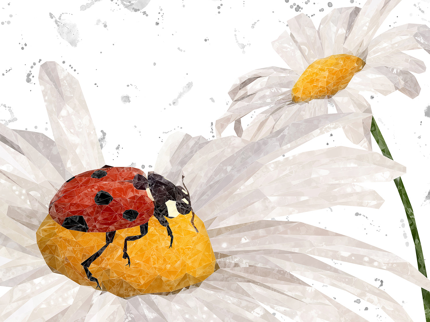 "Lady Daisy" (Grey Background) Canvas Print