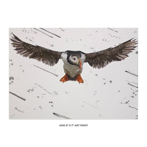 "Frank" The Puffin (Grey Background) 5x7 Mini Print - Andy Thomas Artworks