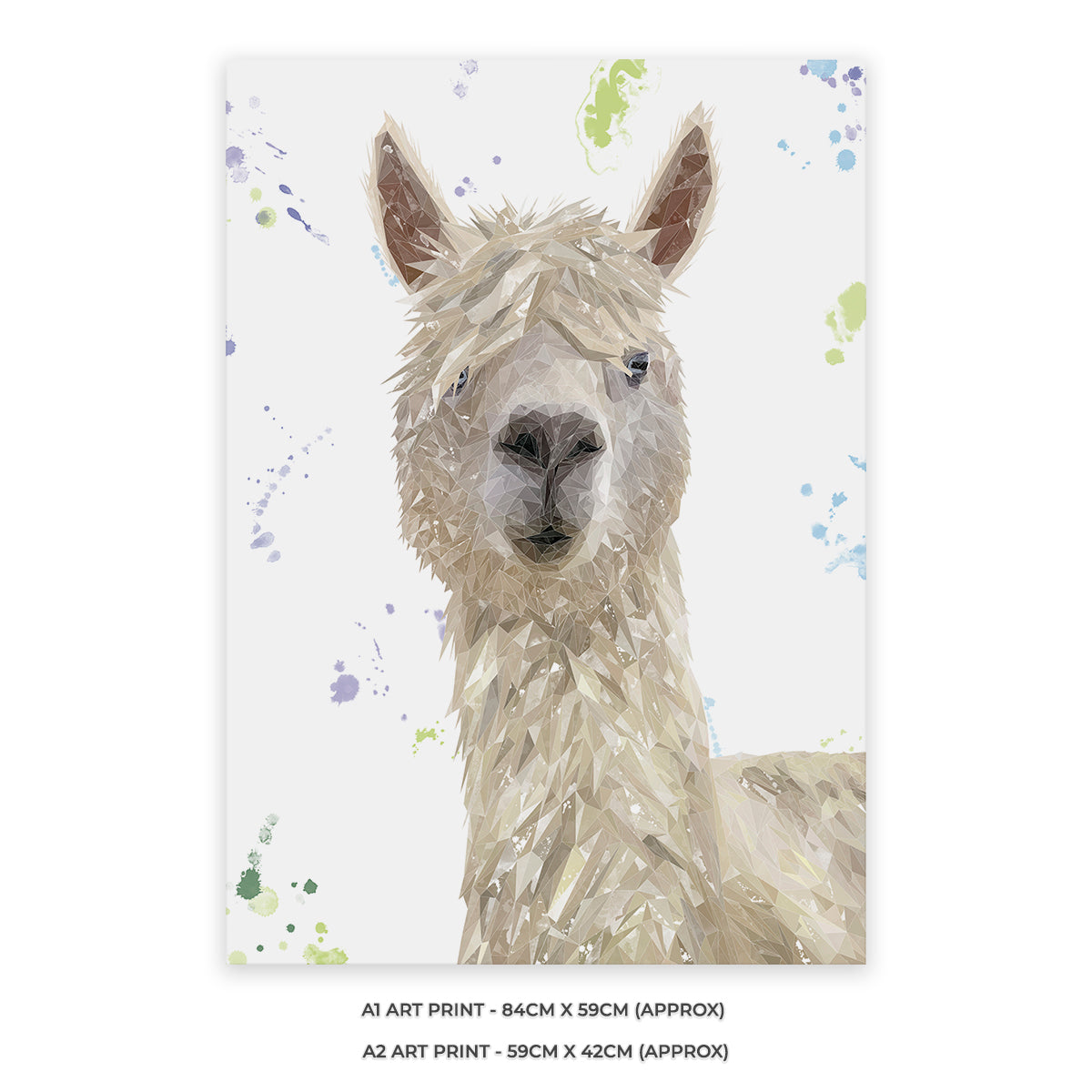 "Rowland" The Alpaca Unframed Art Print - Andy Thomas Artworks