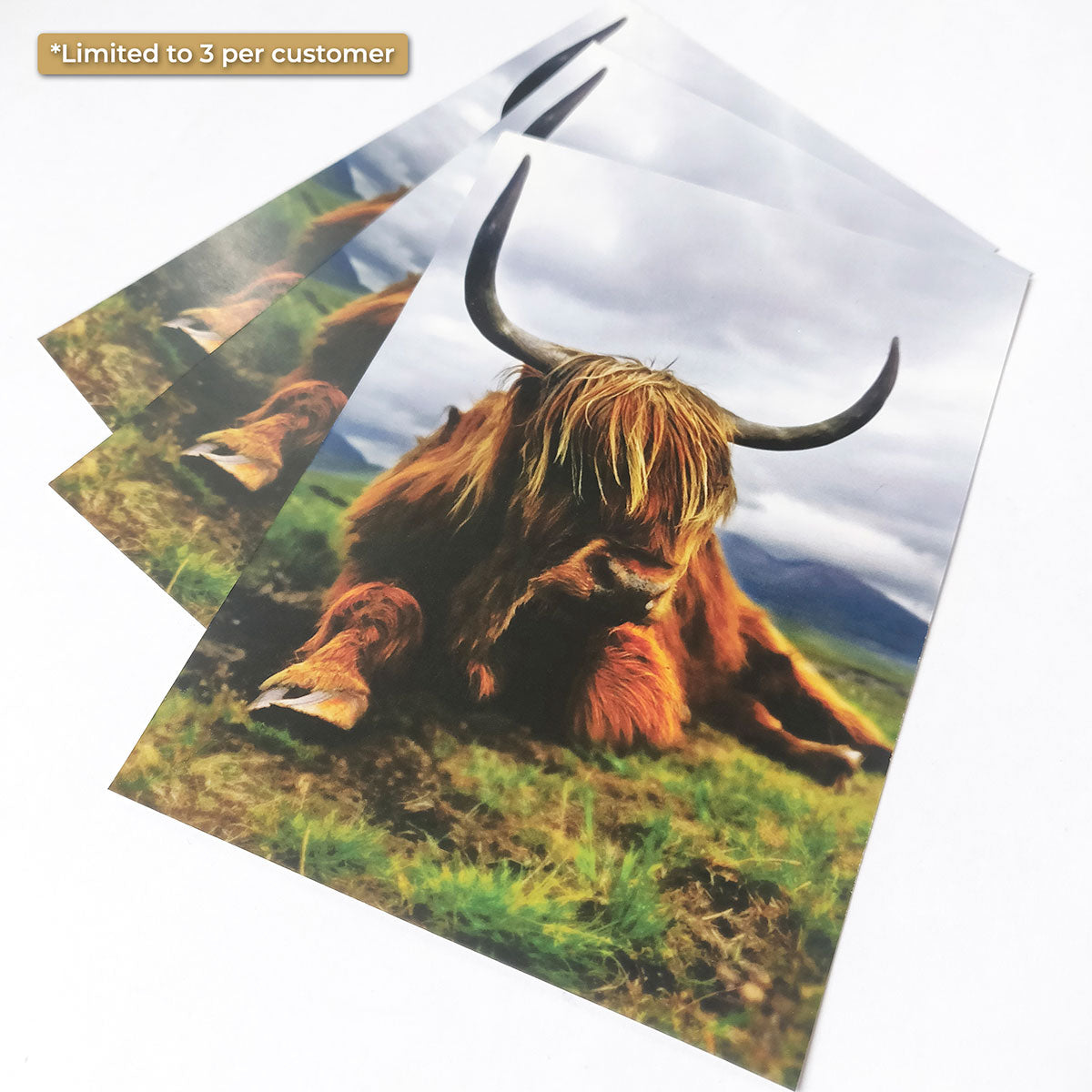 FREE 5X7" PRINT! (Just pay P&P) - Andy Thomas Artworks