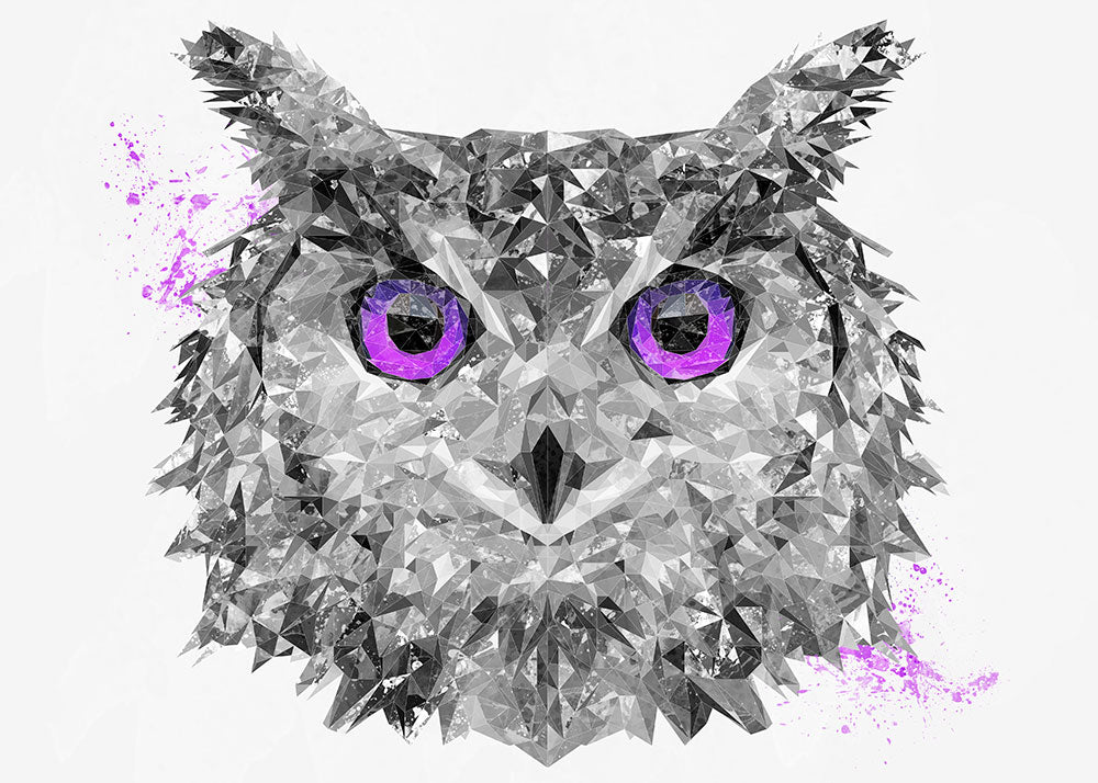 Purple Owl