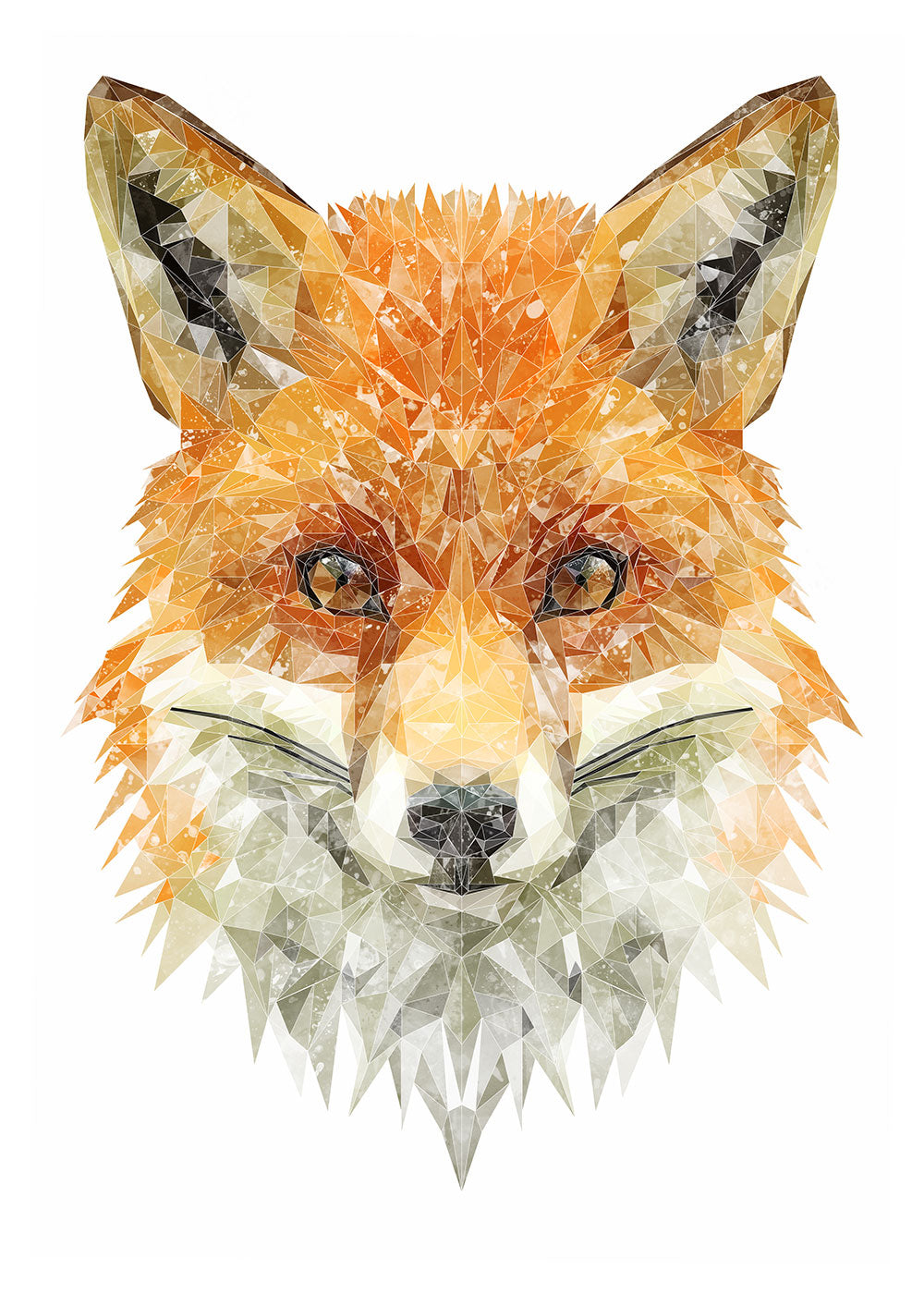 The Fox