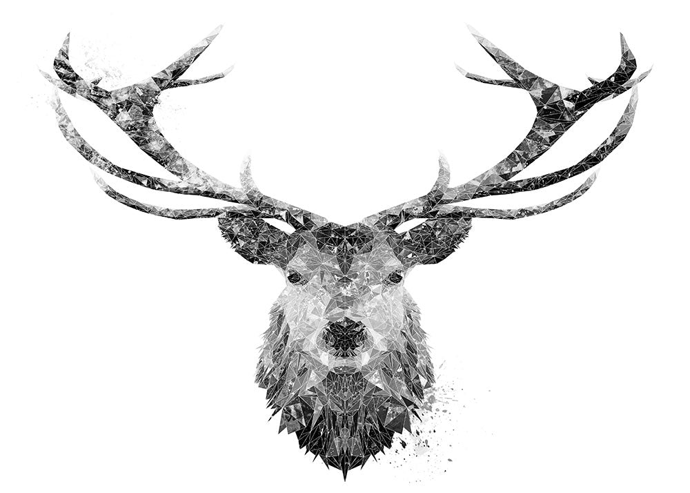 The Stag Black & White