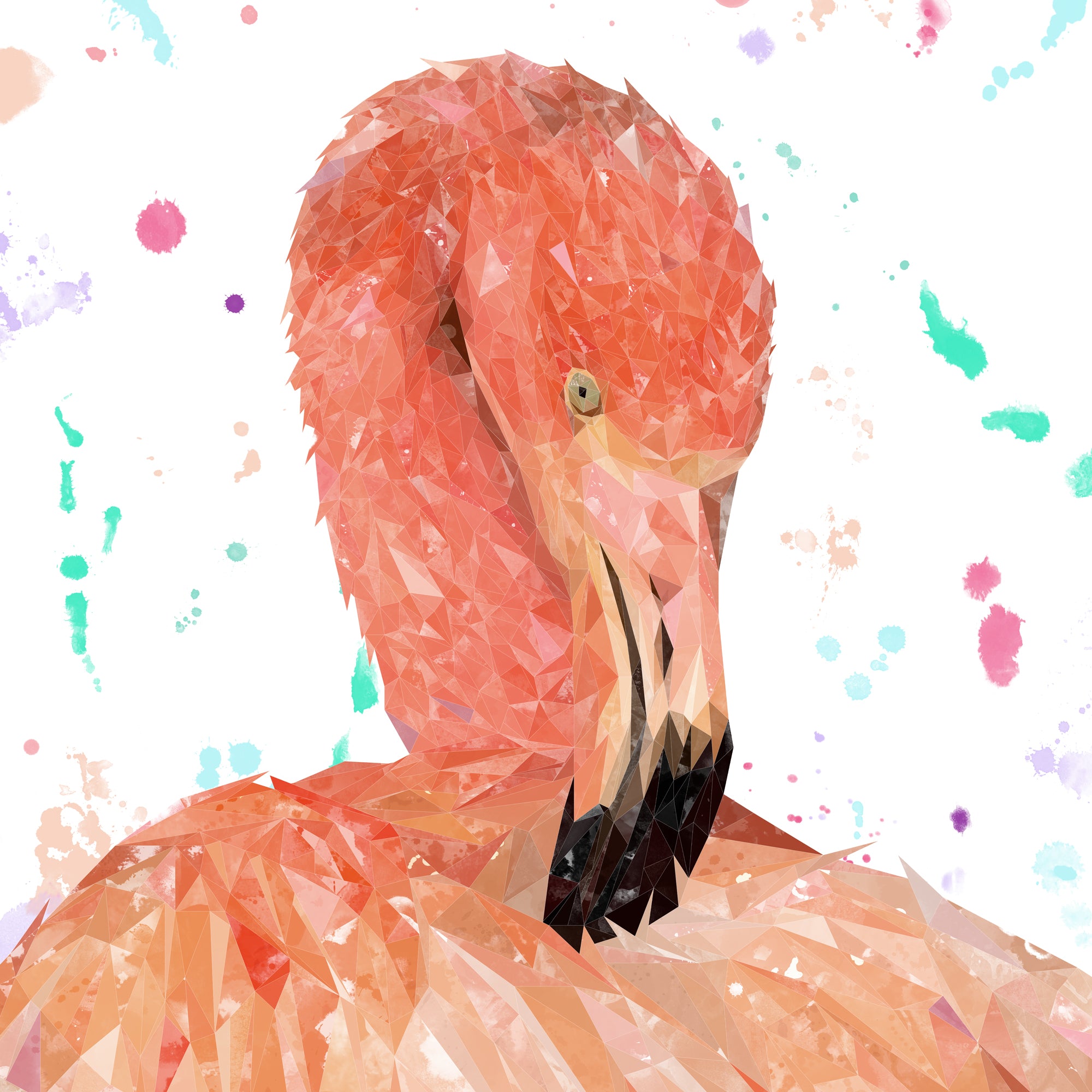 Felicity The Flamingo