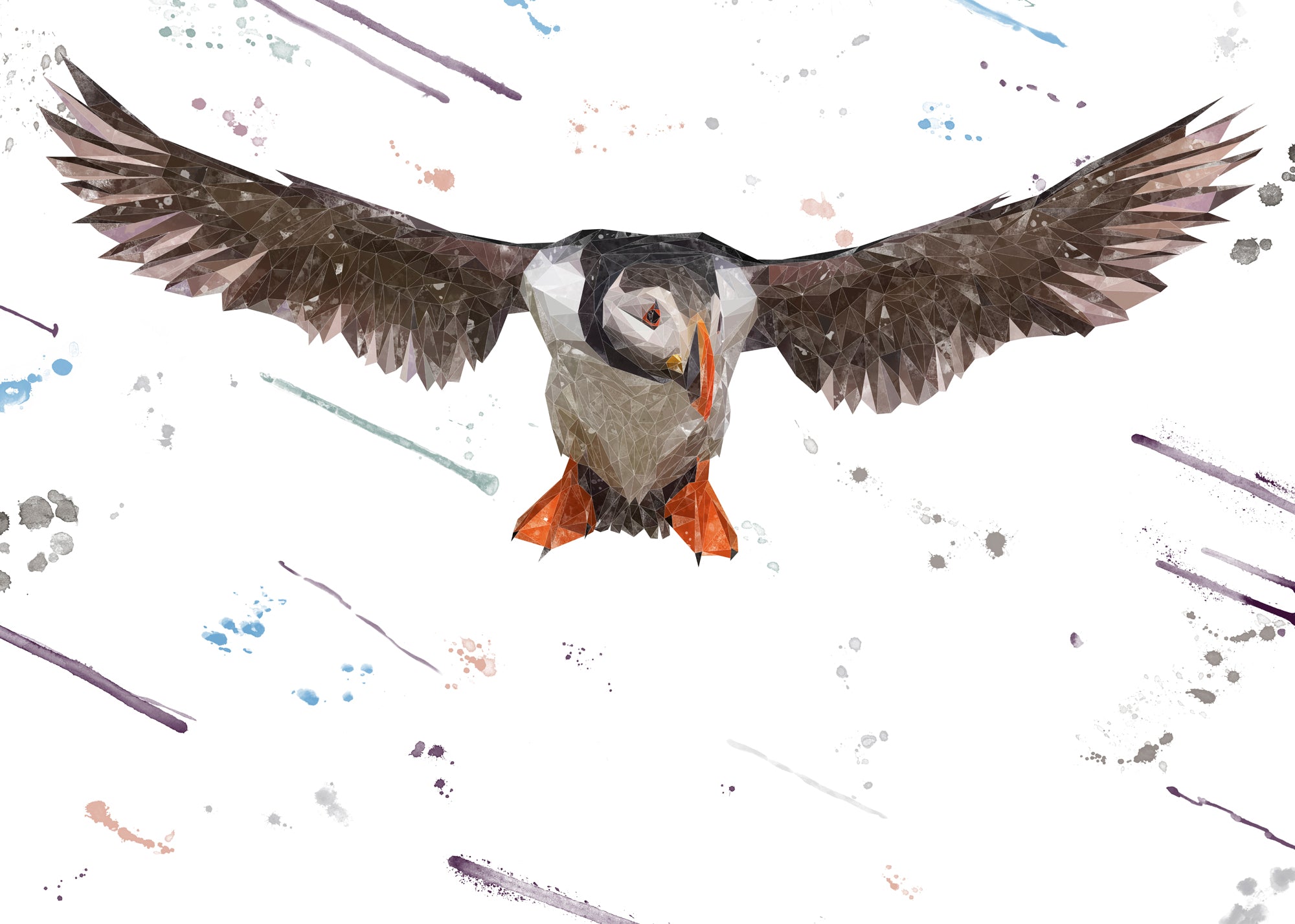 Frank The Puffin
