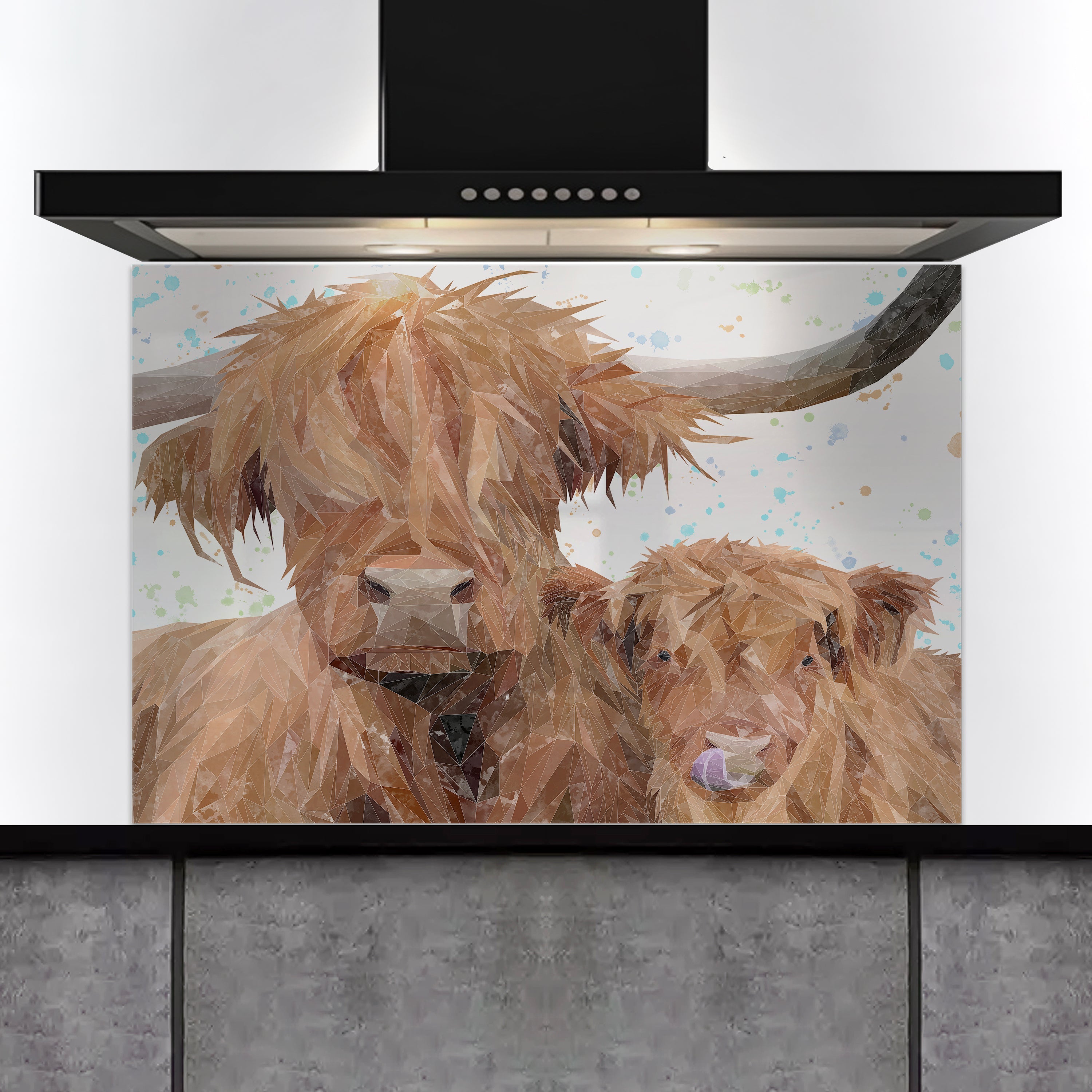 Most Popular Splashbacks