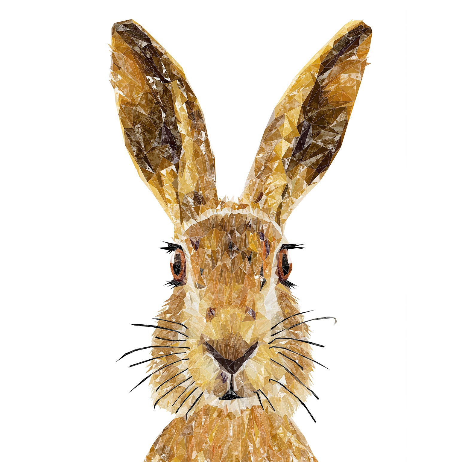 Custom Listing for AD The Hare 800mm wide X 800mm high - SCREWHOLES for fitting