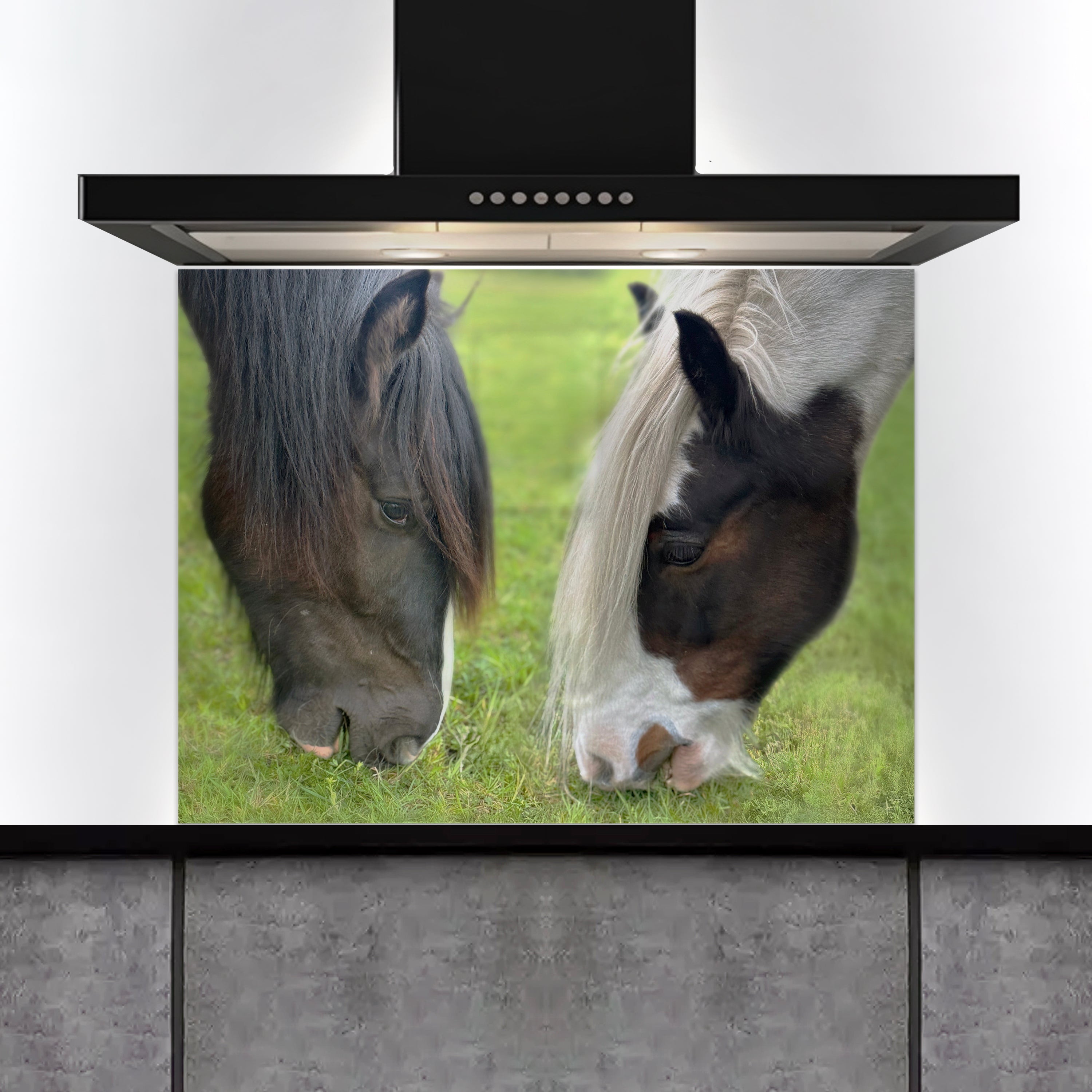 Custom Listing for SL - Customer Photo Merge, 2 Horse Images - Edited, Cleaned and cropped 800 wide  x 600h - ADH