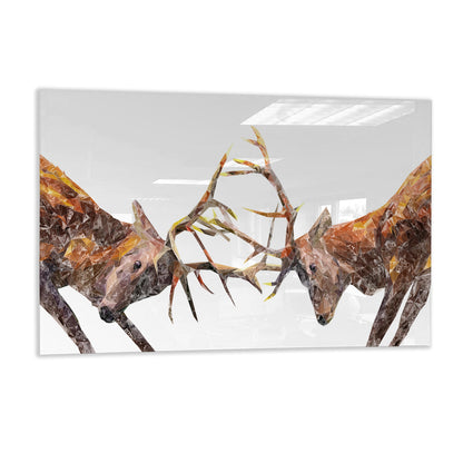 "The Showdown" Rutting Stags Glass Wall Art