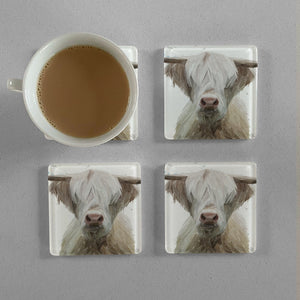 "Evan" The Highland Bull Premium Glass Coasters