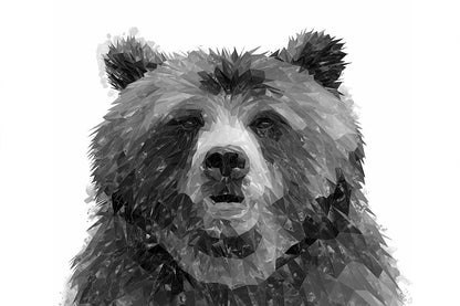 "Monty" The Brown Bear (B&W) Glass Wall Art