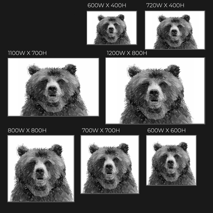 "Monty" The Brown Bear (B&W) Glass Wall Art