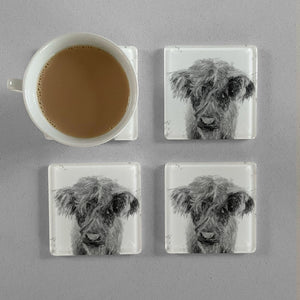 "Peeps" The Highland Calf (B&W) Premium Glass Coasters