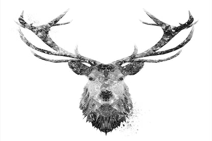 "The Stag" (B&W) Glass Wall Art