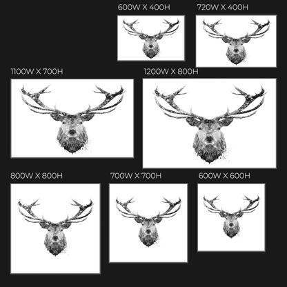 "The Stag" (B&W) Glass Wall Art