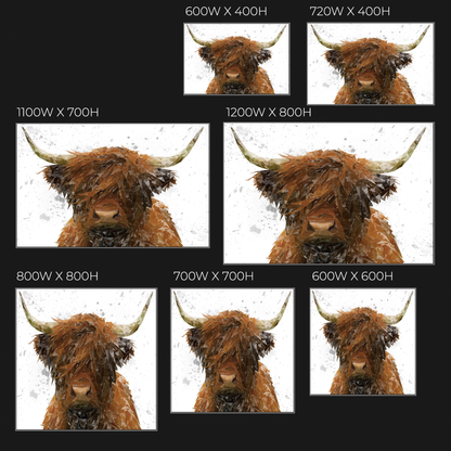 "The Highland" Highland Cow Art (Grey Background) Glass Wall Art