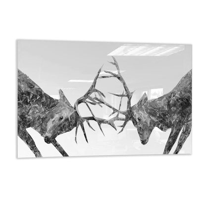 "The Showdown" Rutting Stags (B&W) Glass Wall Art