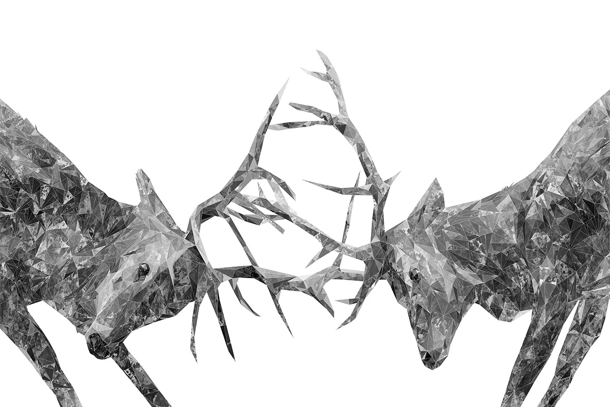 "The Showdown" Rutting Stags (B&W) Glass Wall Art