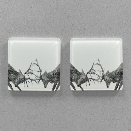 "The Showdown" Rutting Stags (B&W) Premium Glass Coasters