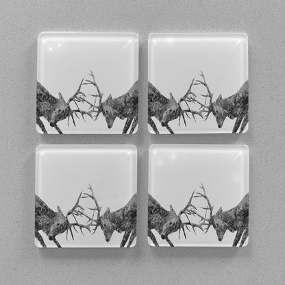 "The Showdown" Rutting Stags (B&W) Premium Glass Coasters