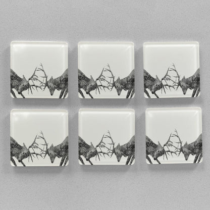 "The Showdown" Rutting Stags (B&W) Premium Glass Coasters