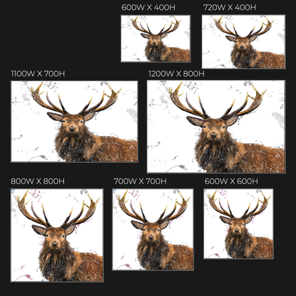 "Rory" The Stag (Grey Background) Glass Wall Art