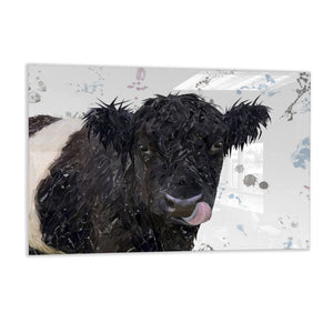 "Eugene" The Belted Galloway Cow Glass Wall Art