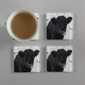 "Eugene" The Belted Galloway Cow Premium Glass Coasters