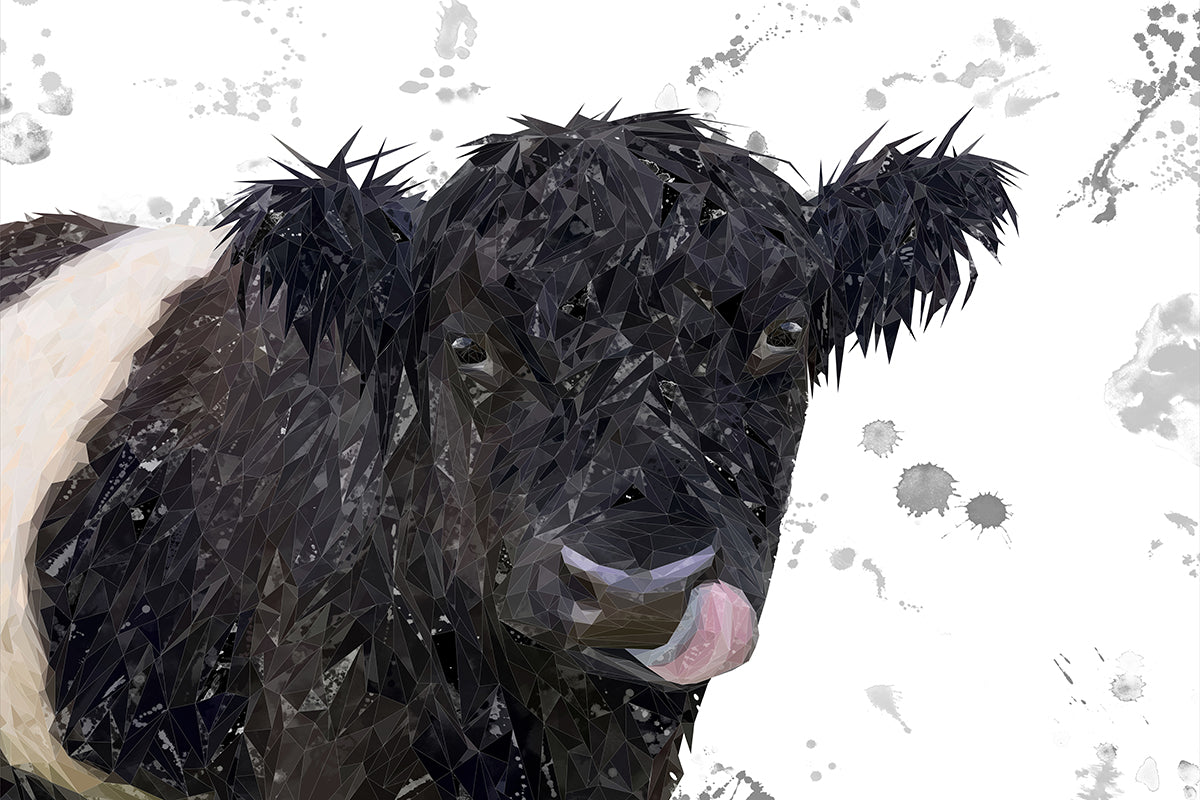 "Eugene" The Belted Galloway Cow (Grey Background) Glass Wall Art