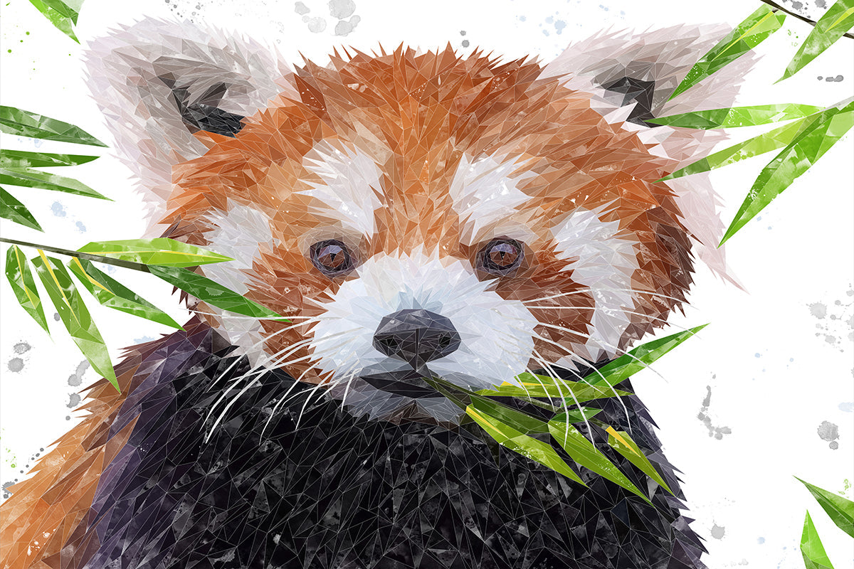 "Red" The Red Panda Glass Wall Art