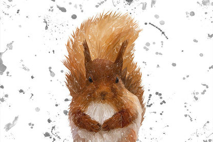 "Ellis" The Red Squirrel (Grey Background) Glass Wall Art