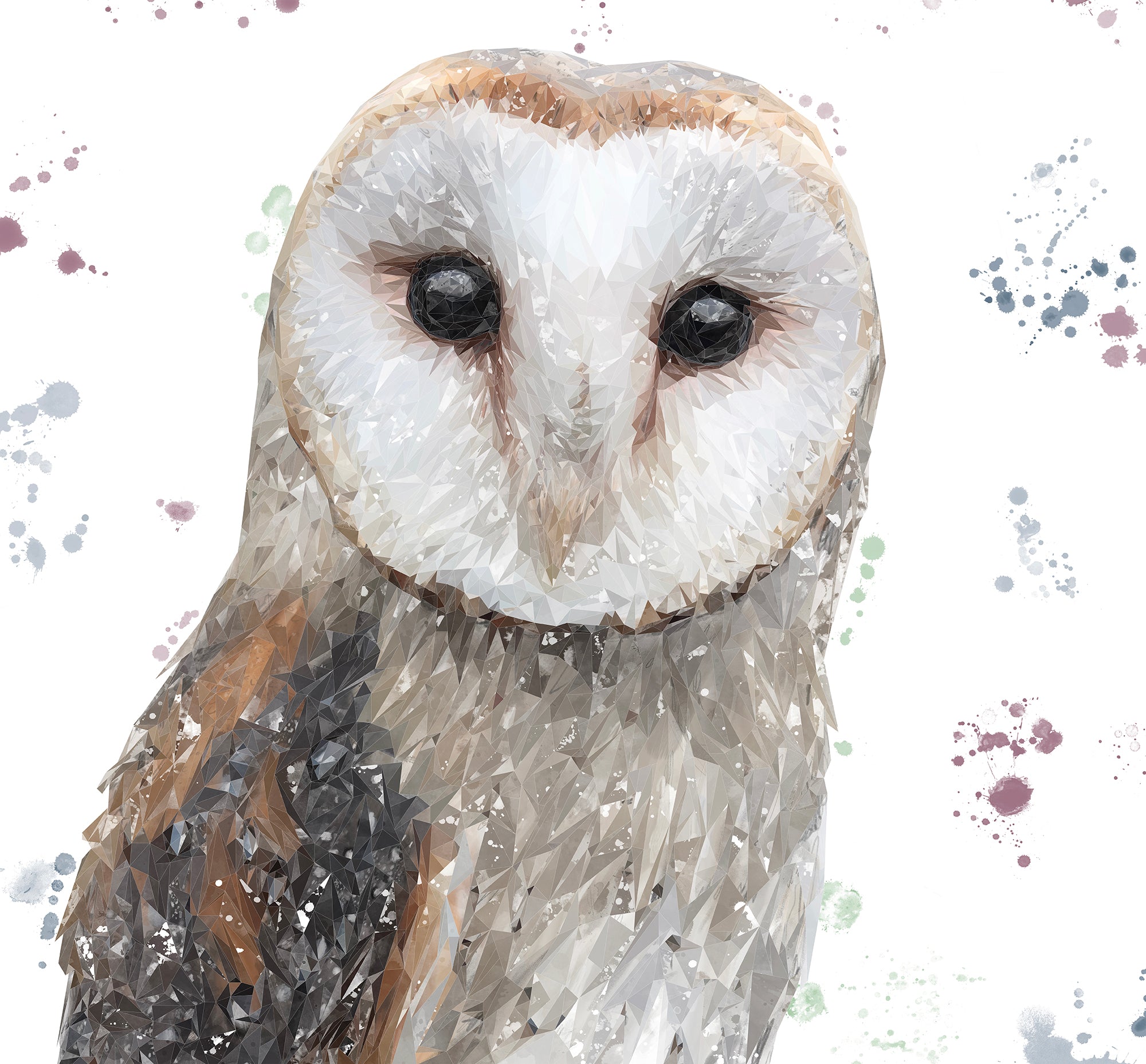 "Whisper" The Barn Owl Kitchen Splashback