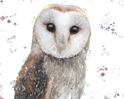 "Whisper" The Barn Owl Kitchen Splashback