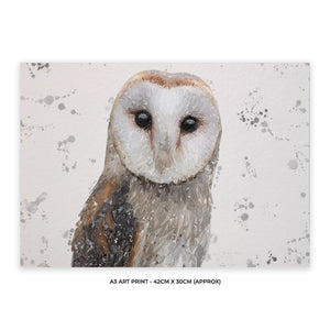 NEW! "Whisper" (Grey Background) The Barn Owl A3 Unframed Art Print