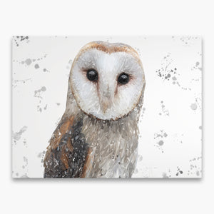 NEW! "Whisper" (Grey background) The Barn Owl Canvas Print