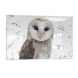 "Whisper" The Barn Owl (Grey Background) Glass Wall Art