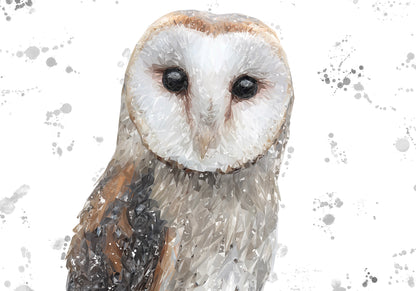 "Whisper" The Barn Owl (Grey Background) Kitchen Splashback