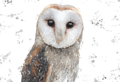 "Whisper" The Barn Owl (Grey Background) Kitchen Splashback