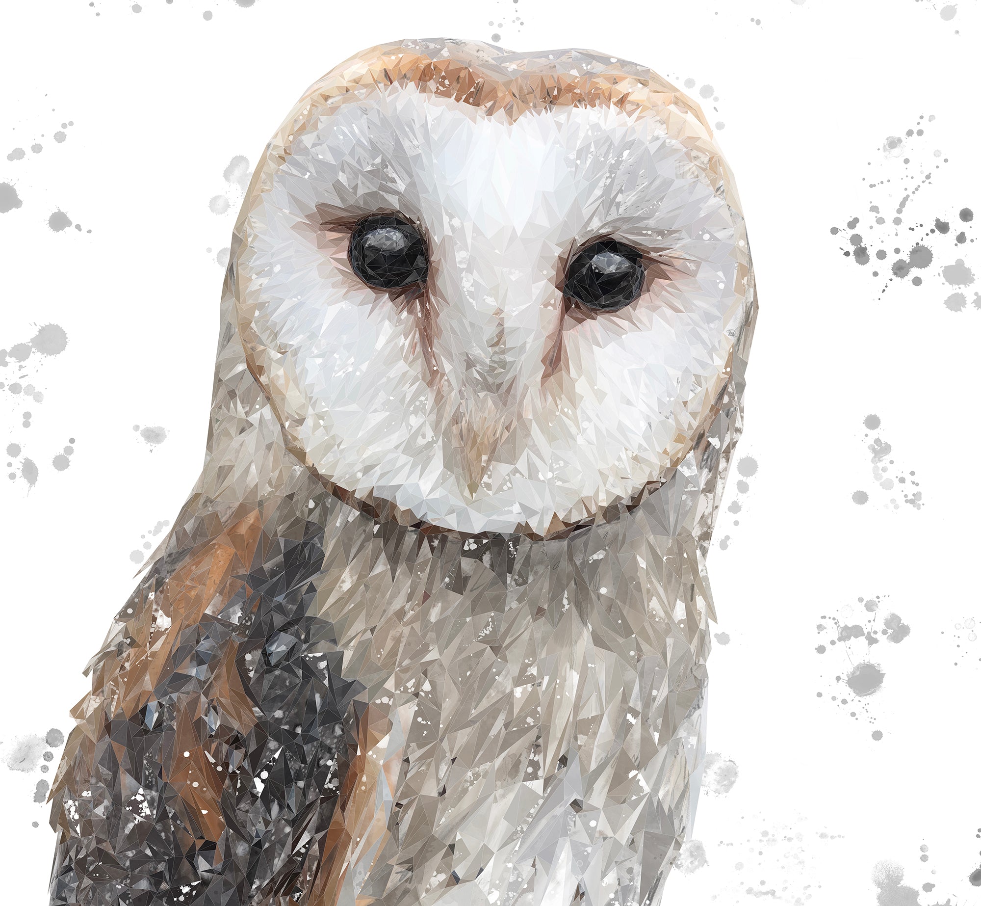 "Whisper" The Barn Owl (Grey Background) Kitchen Splashback