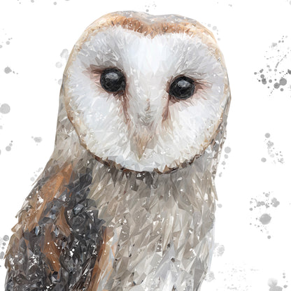 "Whisper" The Barn Owl (Grey Background) Kitchen Splashback