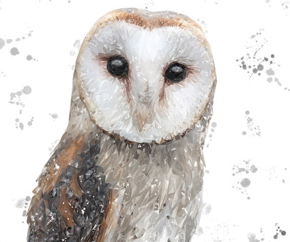 "Whisper" The Barn Owl (Grey Background) Kitchen Splashback