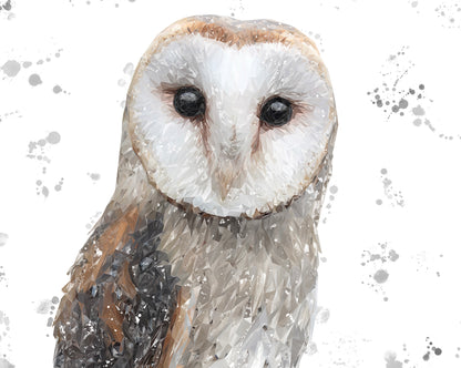 "Whisper" The Barn Owl (Grey Background) Kitchen Splashback