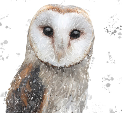 "Whisper" The Barn Owl (Grey Background) Kitchen Splashback