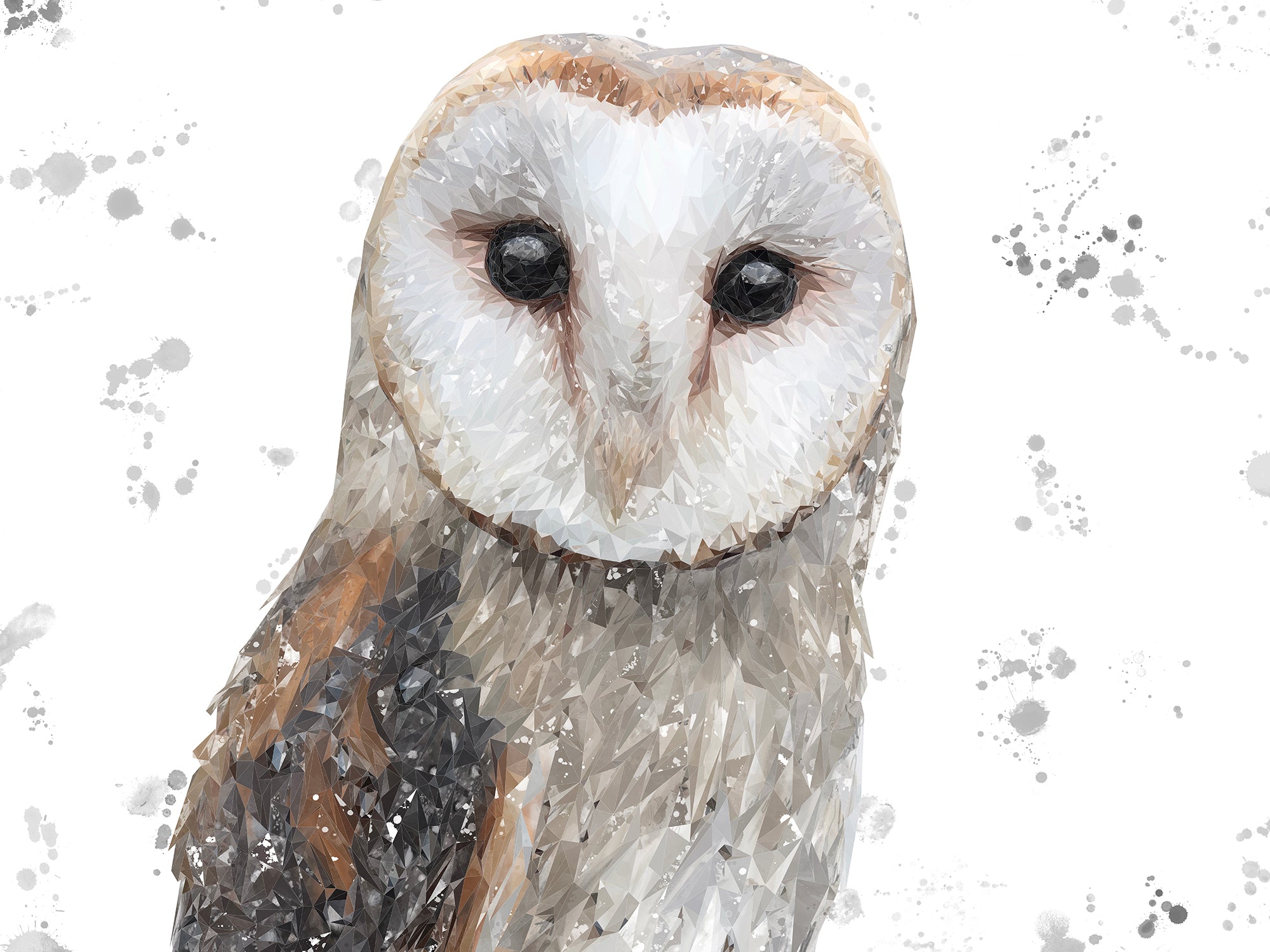 "Whisper" The Barn Owl (Grey Background) Kitchen Splashback