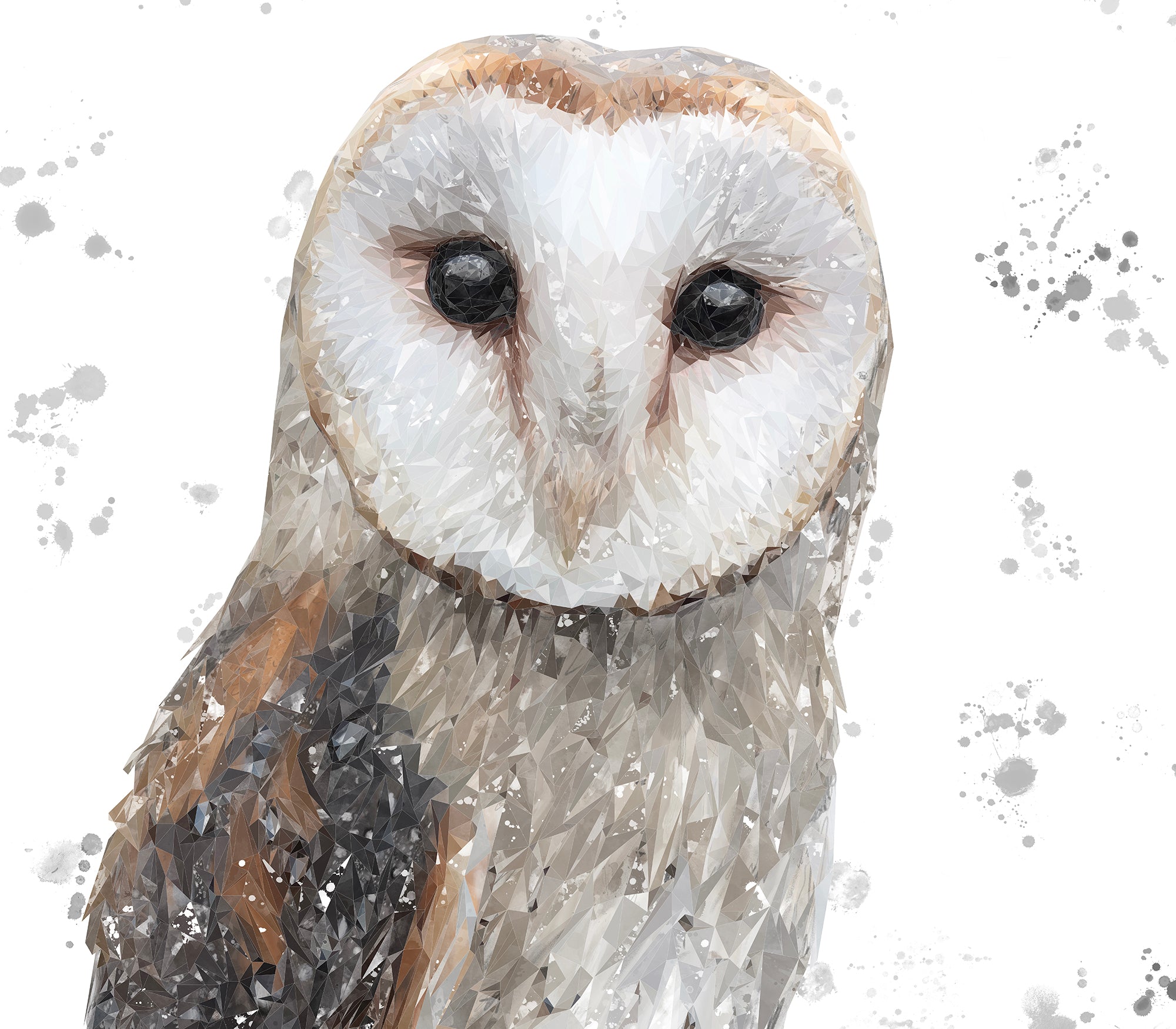 "Whisper" The Barn Owl (Grey Background) Kitchen Splashback